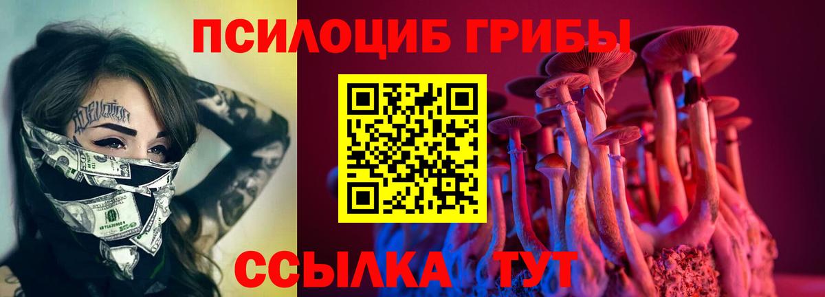 Удомля  Галлюциногенные грибы мицелий  Вход с VPN 